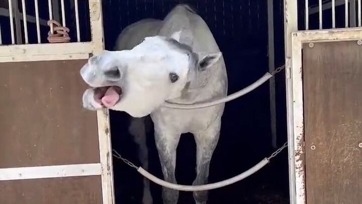 Hôm nay thuyền tử vẫn tràn đầy tinh thần!