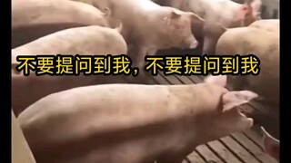 Apakah ini kondisi siswa di bawah saat guru mengajukan pertanyaan di kelas?