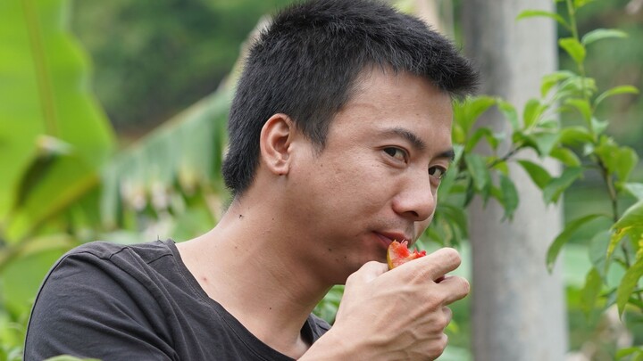 Hua Nong Brothers: The fruit at the brothers’ place is ripe—looks so delicious, let’s pick some to t