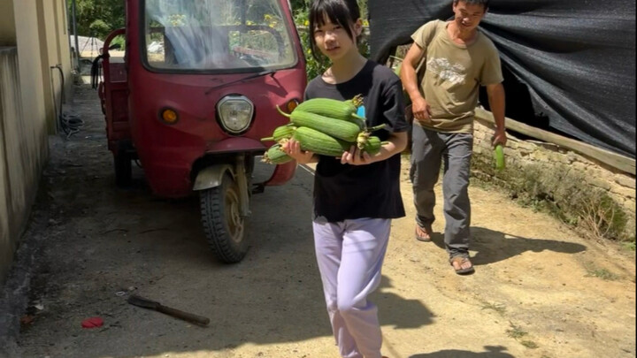 Immersive vegetable-picking and pig-feeding
