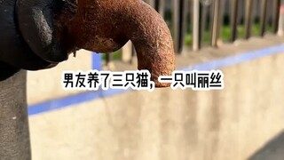 Trăng xanh vội vã