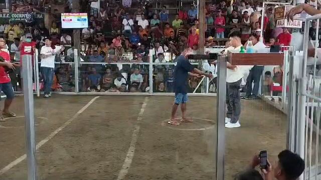 3hits 2nd fight..3x winner..