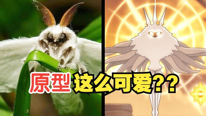 Oh no! I’ve stumbled upon a shocking secret about Hollow Knight! [Ranking the Real-Life Inspirations