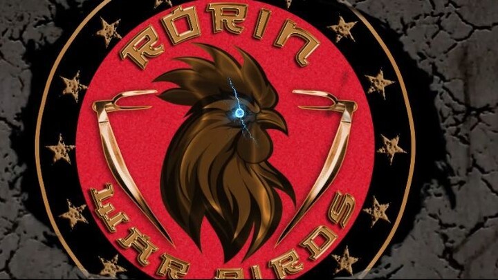 RoRin War Birds video INTRODUCTION logo