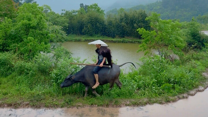 Menggali kaki sawah