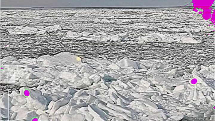 the icy ocean