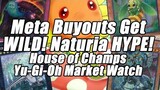 Meta Buyouts get WILD! Naturia HYPE!?! House of Champs Yu-Gi-Oh Market Watch