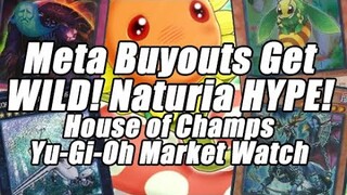 Meta Buyouts get WILD! Naturia HYPE!?! House of Champs Yu-Gi-Oh Market Watch