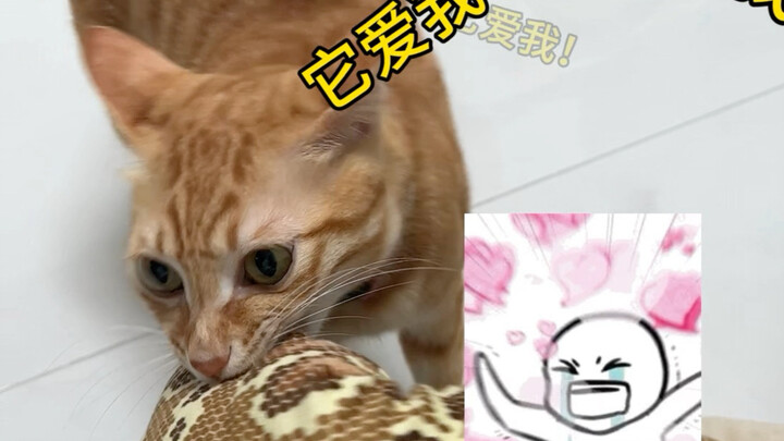 ไม่ผิดเลยที่สกุลเป่า ช่างยุติธรรมและเที่ยงตรงจริงๆ
