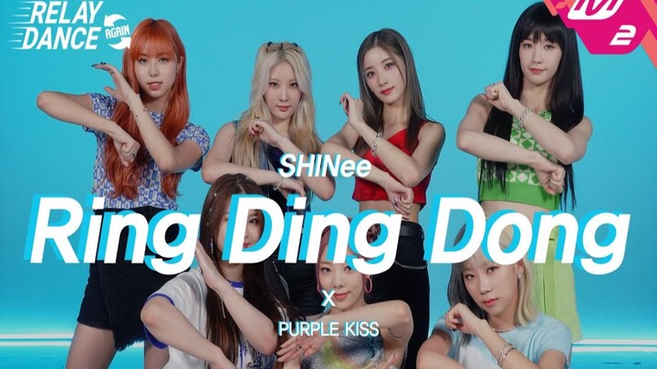 PURPLE KISS【SHINee - Ring Ding Dong】M2 Dance Relay, bài hát cấm thi đại học đã xuất hiện~