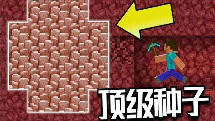 Minecraft: The Strongest Seed on the Entire Internet! The Seed with the Most Nether Alloy in Minecra