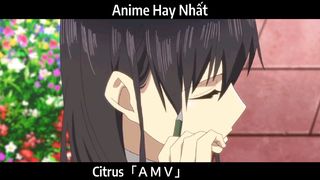 Citrus「ＡＭＶ」Hay Nhất