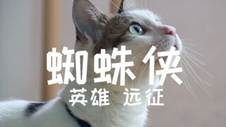 【1080/踩点/混剪/蜘蛛侠新片预告】⑨爷是只小母猫，带你看预告，前方高能！