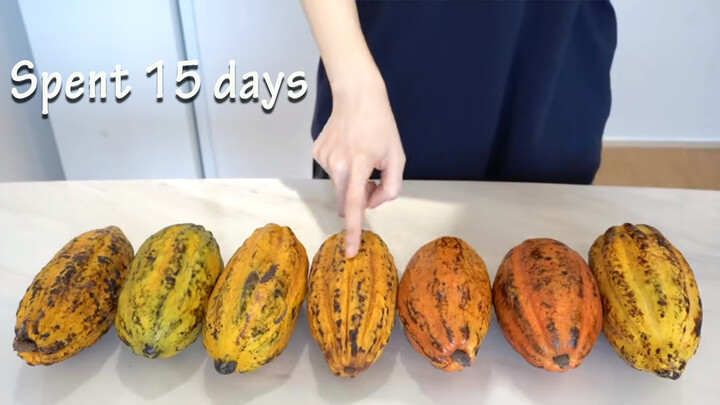 [Food] Make Chocolate from Cacao Fruit