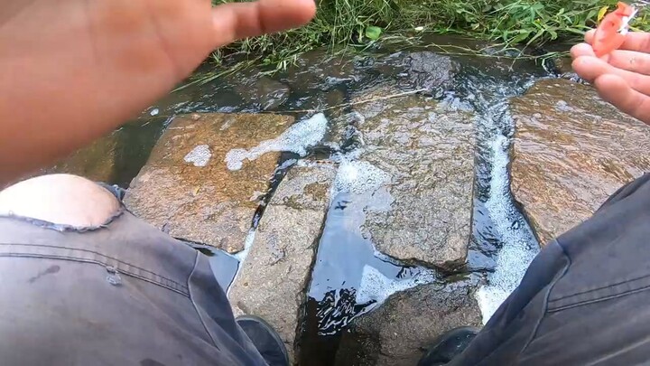 Rescue a turtle in rocks