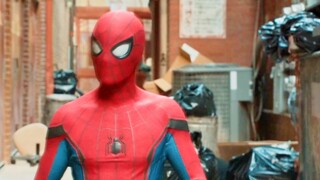 Dibandingkan dengan transformasi pahlawan normal dan Spider-Man, laba-laba kecil selalu berbeda dari