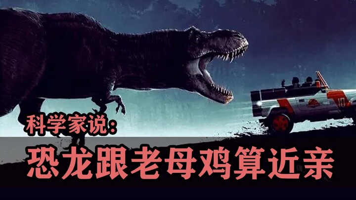 Scientists Say: Dinosaurs Are Basically Closely Related to Old Hens!