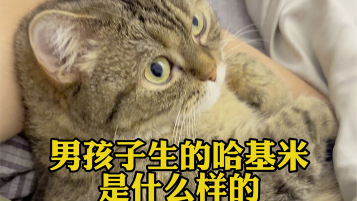 เด็กผู้ชายที่เกิดมาเป็นฮาคิมิก็ช่างแตกต่างจริงๆ!