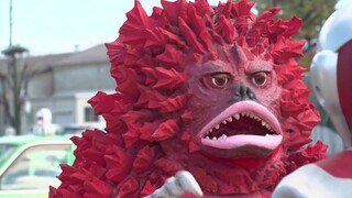 Ultraman Boy takes you to learn about the hometown of Eiji Tsuburaya, the god of Japanese tokusatsu 