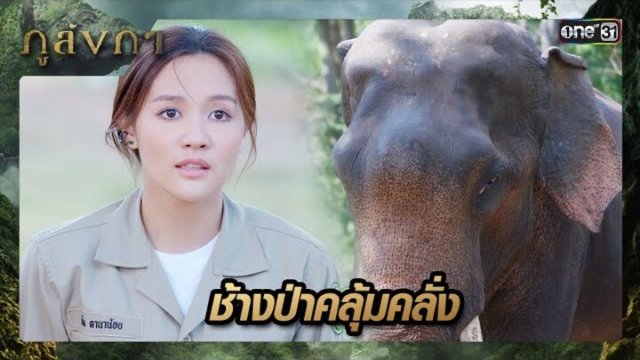 เกลี้ยกล่อมช้างป่าคลุ้มคลั่ง ออกทำร้ายเจ้าหน้าที่ | ซีนเด็ด ภูลังกา Ep.02 | 29 ก.พ. 67 | one31