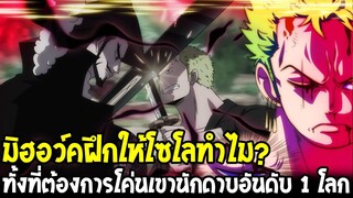 วันพีช - มิฮอว์คฝึกให้โซโลทำไม !? ทั้งที่ต้องการโค่นล้มเขาเพื่อเป็นนักดาบอันดับ 1 โลก - OverReview