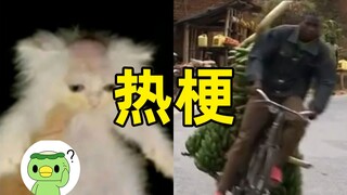 奥德彪拉香蕉，佛罗里达州不养闲人，按f键逃离世界，按f键进入坦克都是什么梗？【断网补全计划2】