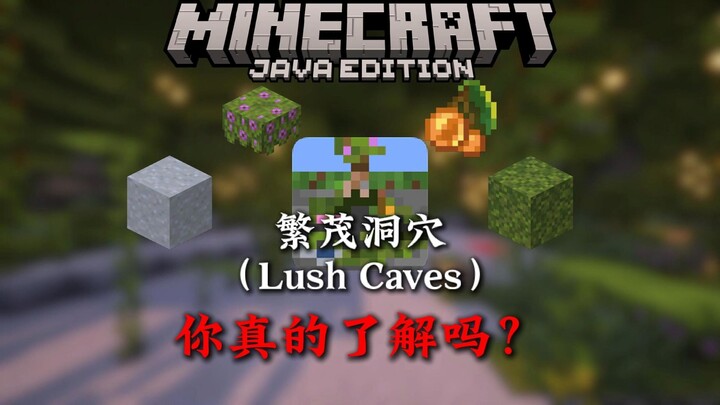 4 Minutes to Teach You Everything About MC’s Lush Caves!!
