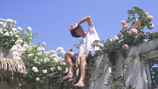 Summer in the yard