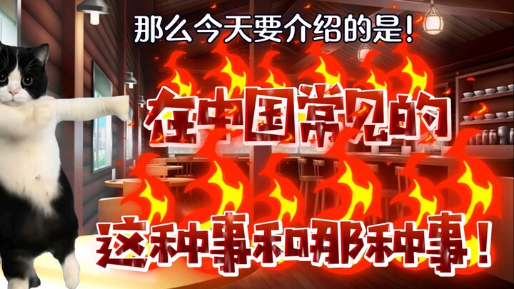【在中国外国人绝对会碰到的事！】日本女生来中国留学后，价值观发生变化的故事11【猫meme】