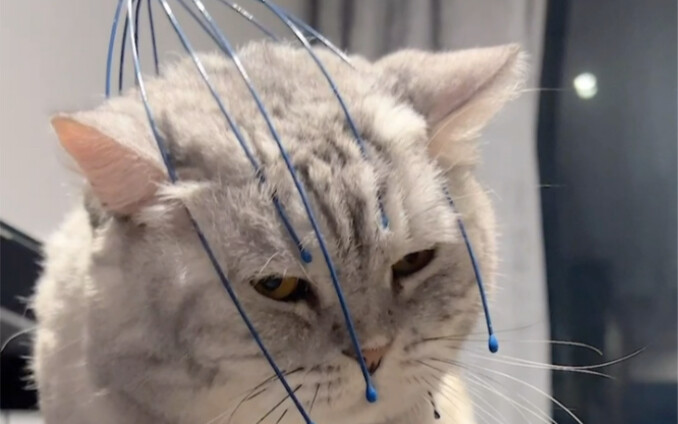 Apa yang Terjadi Kalau Alat Ekstraksi Jiwa Digunakan pada Kucing dan Anjing?