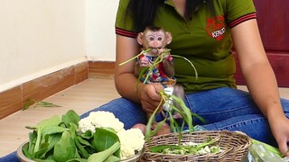 Adorable Little Baby Maki Like To Eat green Vegetables | Healthy Vegetables