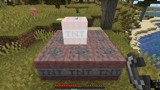 Ketika TNT meledak, ia dapat mengasimilasi blok di sekitarnya