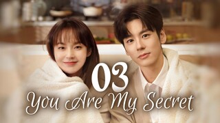 🇨🇳EP 3 | You Are My Secret (2024) [EngSub]