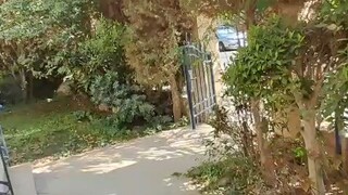 katameya heights villa rent