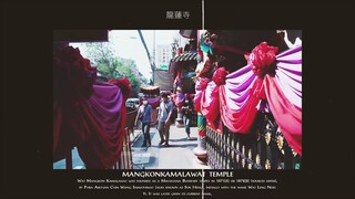 ไหว้พระขอพรที่วัดมังกรกมลาวาส | ตี๋น้อย On the way EP.1