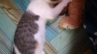 Mother Bear 🥺🥺