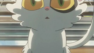 Ten Holy Blades: Suzuya! Read!!!