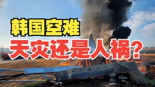 Birds are blamed again for the South Korean air crash. Was it a natural disaster or a man-made one?