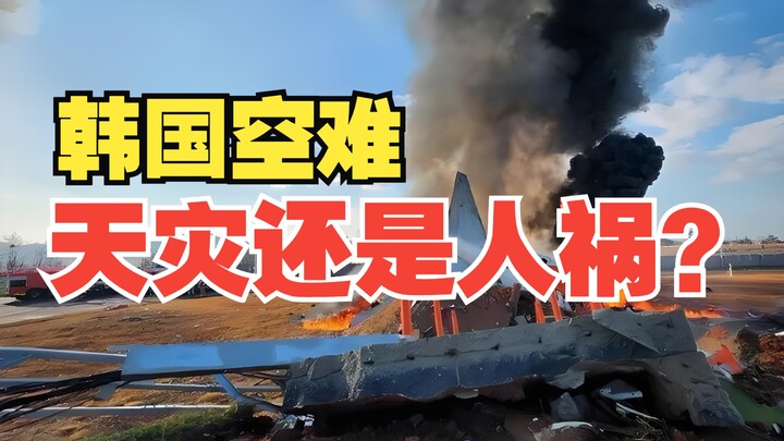韩国空难飞鸟又背锅，到底是天灾还是人祸？