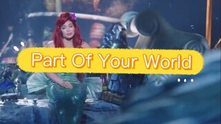 Part Of Your World - Bahasa Indonesia - Live Cover
