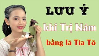 NHỮNG LƯU Ý CẦN THIẾT KHI TRỊ NÁM BẰNG LÁ TÍA TÔ TẠI NHÀ ( Cực hay)