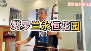 【紫罗兰永恒花园op】【动漫】二胡版  紫罗兰永恒花园