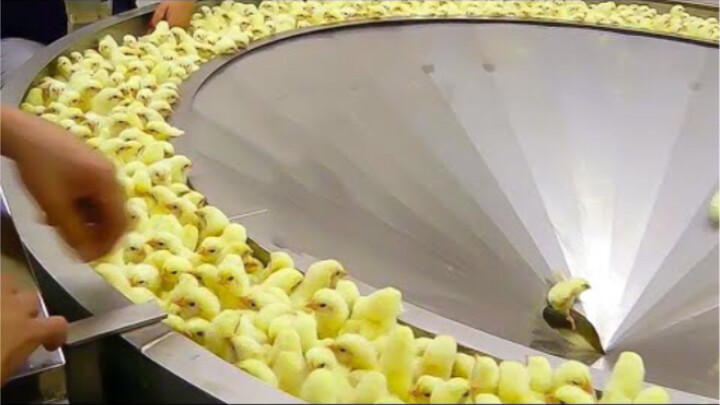 เครื่องจักรอุตสาหกรรมอาหารสู่อีกขั้นหนึ่ง