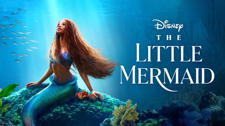 T̷̶h̷̶e̷̶ ̷̶L̷̶i̷̶t̷̶t̷̶l̷̶e̷̶ ̷̶M̷̶e̷̶r̷̶m̷̶a̷̶i̷̶d̷̶ ̷̶2̷̶0̷̶2̷̶3̷̶ ̷̶S̷̶U̷̶B̷̶ ̷̶I̷̶N̷̶D̷̶O̷̶