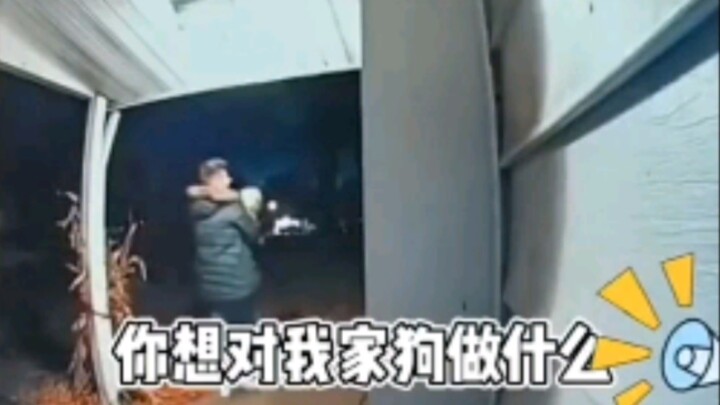 “ 他是真的喜欢狗子 ”