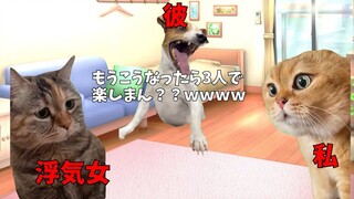 （猫MEME熟肉）被初恋男友劈腿的故事