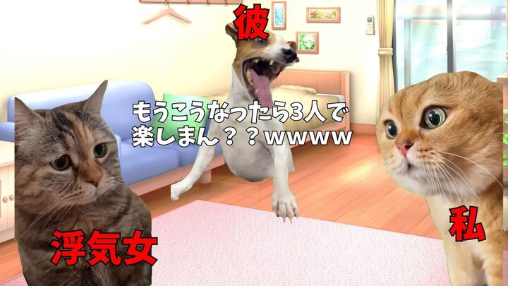 （猫MEME熟肉）被初恋男友劈腿的故事