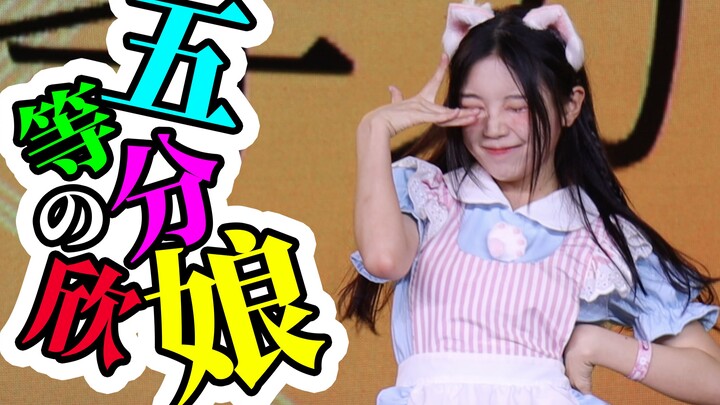 〖Xin Xiaomeng〗 The Quintessential Quintuplets ❤️BW Limited Edition