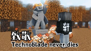 我的世界方块轩动画之致敬Technoblade猪神