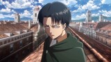 Edit Levi